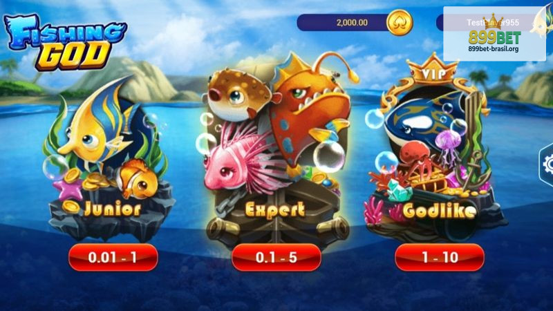 Como acessar o jogo: site, aplicativo e dispositivos compatíveis